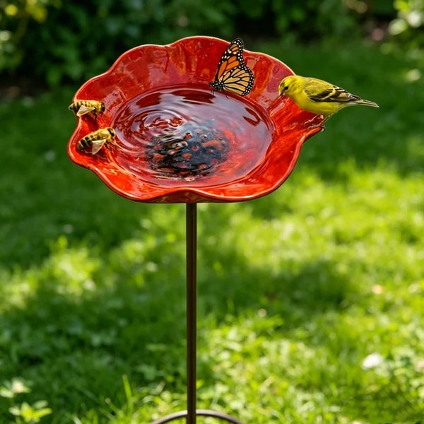 Prachtige Poppy Vogelbad Decor