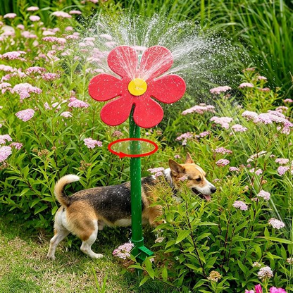 CrazyDaisy™ | De Dansende Tuinsproeier